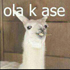 :Ola k ase: